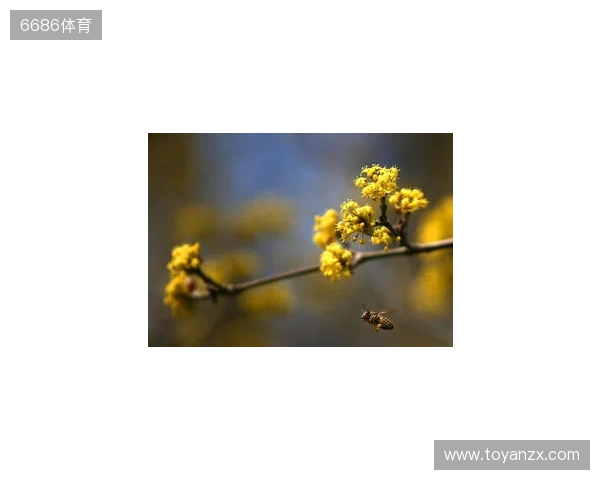 布达佩斯Major第一阶段:战舰轰鸣!FaZe 2-1 RED Canids 布达佩斯Major第一阶段:战舰轰鸣!FaZe 2-1 RED Canids